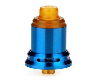 Kék - Arctic Dolphin REXX BF RDA